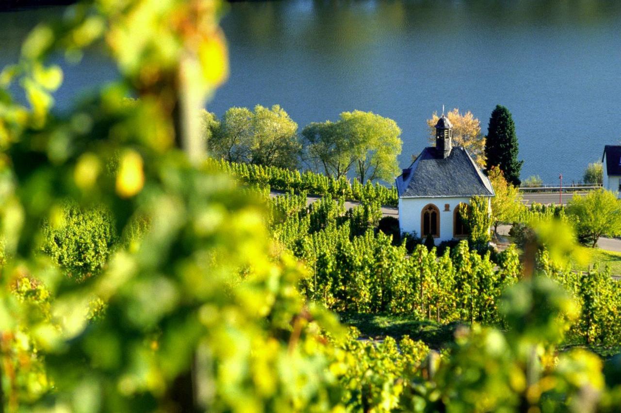 Ferienwohnung Weingut Christoffel Kövenig Exterior foto